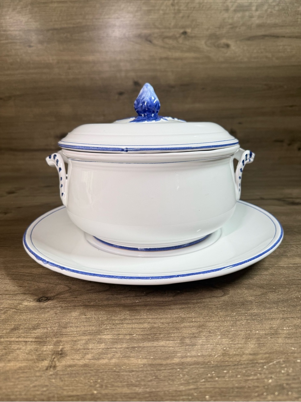 Vintage Italian Majolica Covered Soup Tureen w/ Underplate Rare Cantagalli
